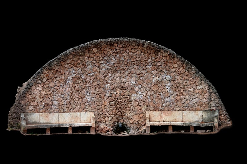 Lithops