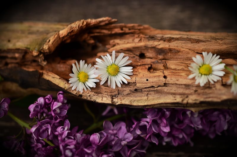 Wooden Crate Herb Garden